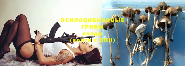 дживик Балабаново